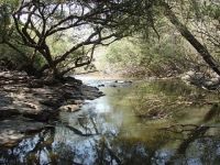 humedales el palmar