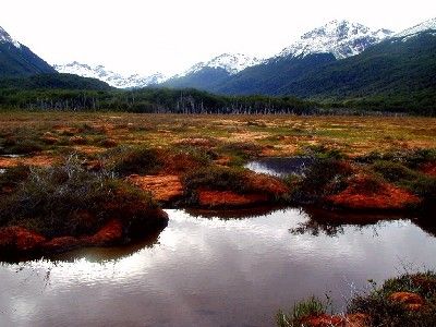 Glaciar Vinciguerra y turberas