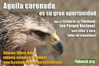 Águila Coronada por La Fidelidad