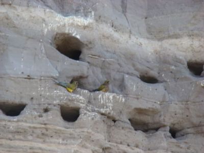 balneario el condor