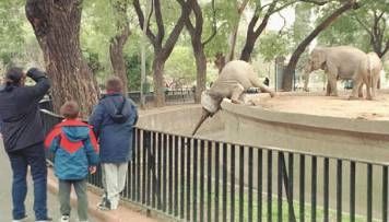 zoo porteño