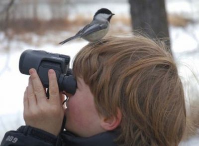 observacion aves