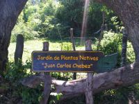 jardin de plantas nativas Juan Carlos Chebez