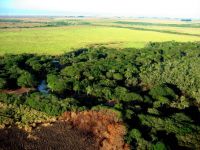 arroyo ayuí, Corrientes