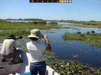 iberá