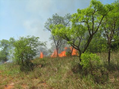 Incendio en Teyú Cuaré