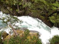 Seminario gratuito sobre Áreas Naturales Protegidas en la EAN