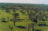 Argentina, Brasil y Uruguay protegerán ambiente