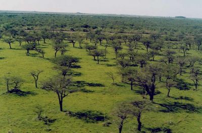 Argentina, Brasil y Uruguay protegerán ambiente