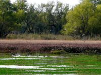 Reserva Natural Militar Isla Martín Fierro