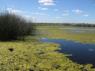 reserva de Santa Catalina