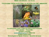 Taller sobre Plantas Autóctonas y su relación con aves y mariposas