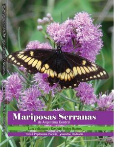 Guía de Mariposas Serranas de Argentina Central