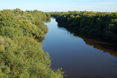 Urgente: Plan de Bosques de Corrientes