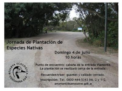 Nueva plantación en Costanera Sur