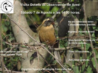 observación de aves en la RECS