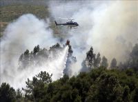 Incendio forestal