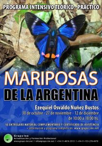 mariposas argentinas