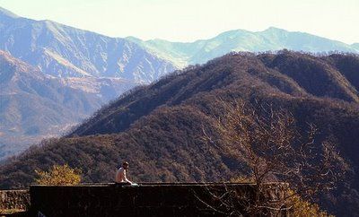 Amplían el Parque Nacional Los Alisos