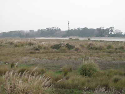 Reserva Municipal Punta Rasa