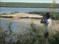 Observación de aves