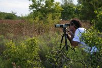 Observación de aves