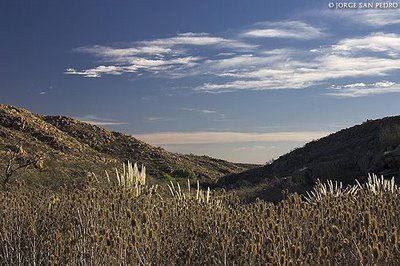 Parque Nacional Lihué Calel