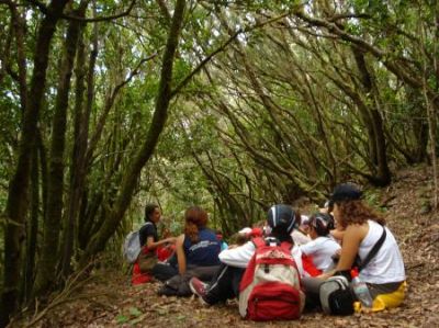 educación ambiental