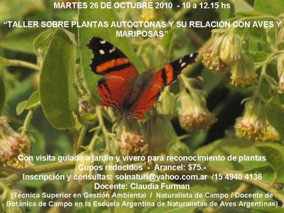 taller plantas nativas