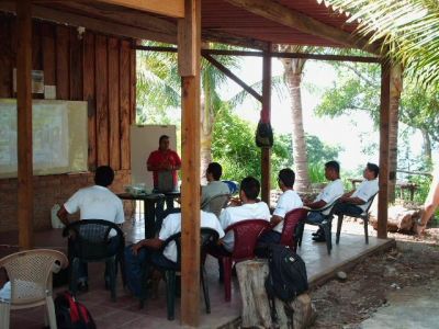 Educación ambiental