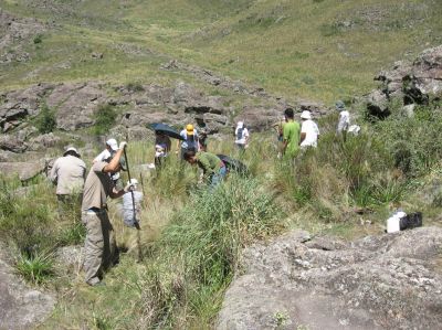 restauración ambiental en montaña