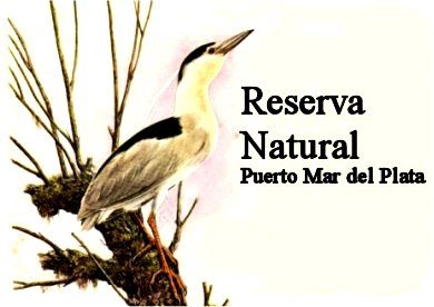 reserva natural puerto de mar del plata