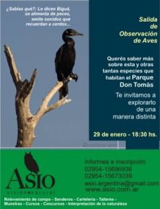 observación de aves