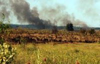 Incendio afectó la Reserva Natural Otamendi