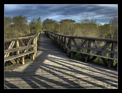 reserva_ecologica_costanera_sur