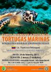 tortugas marinas