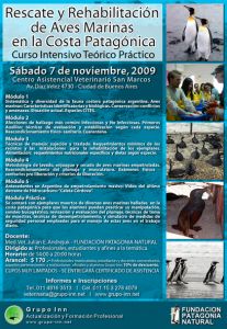 Curso aves marinas