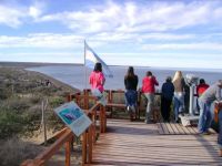 observatorio de ballenas